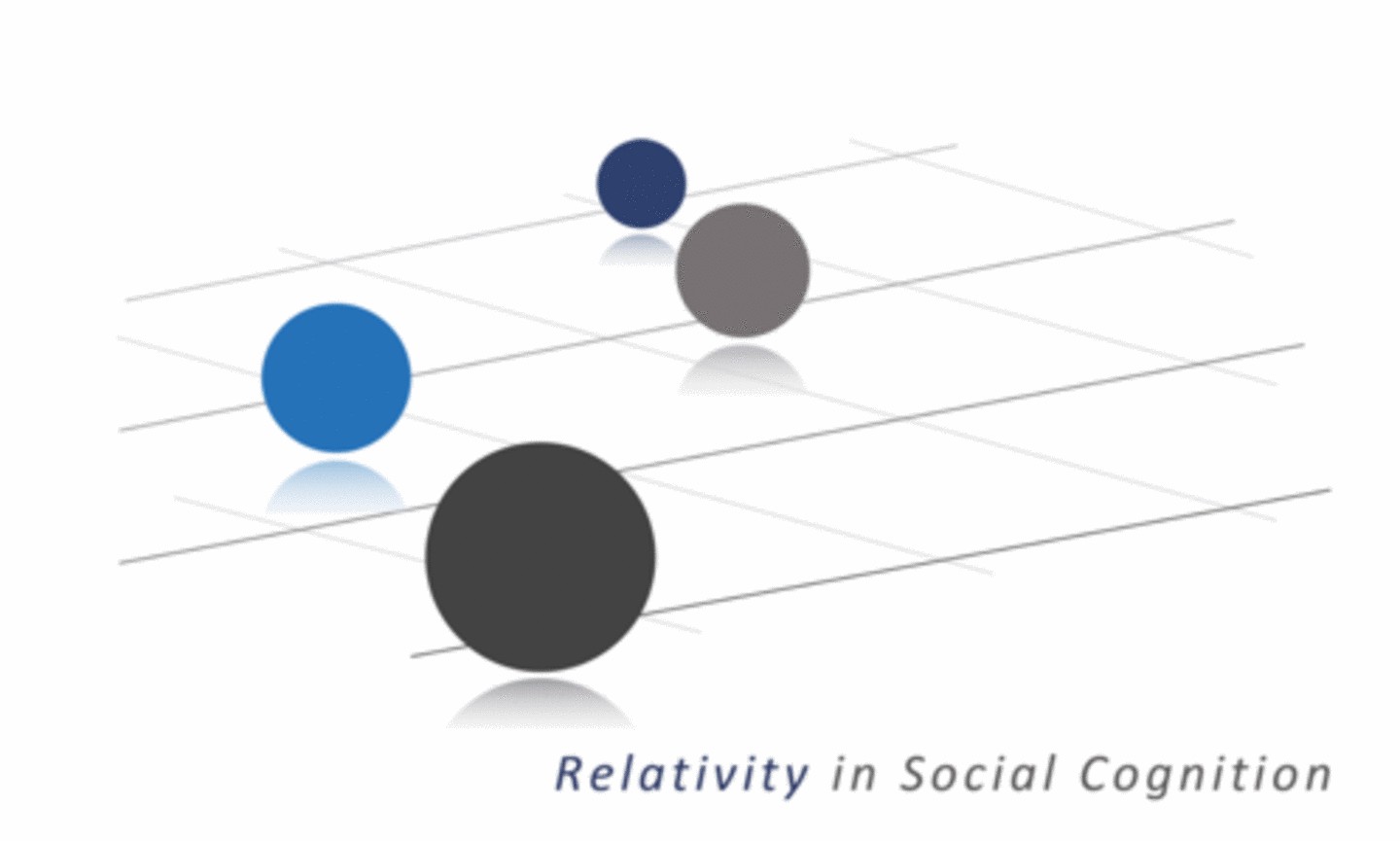 DFG Research Unit - "Relativity in Social Cognition"
